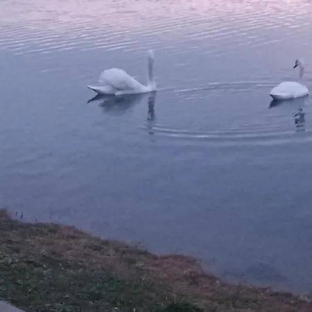 Bella Vista Sumarice *