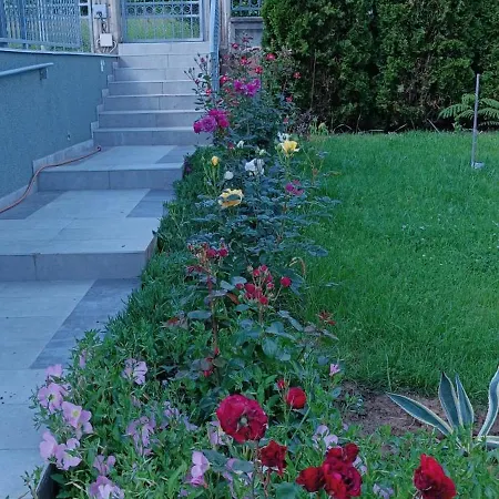 Bella Vista Sumarice * Kragujevac