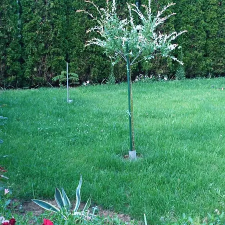 Bella Vista Sumarice Apartament *